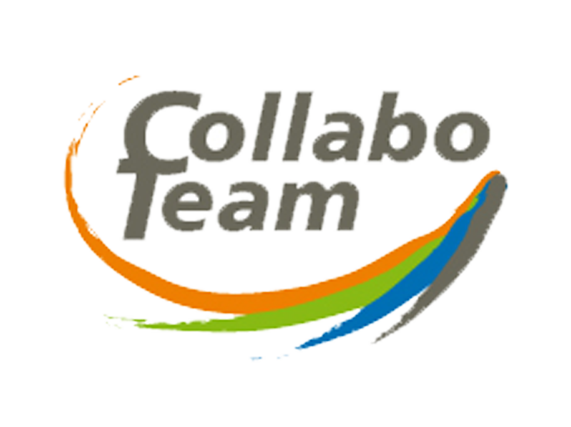 wp-logo-verbundprojekt-collaboteam
